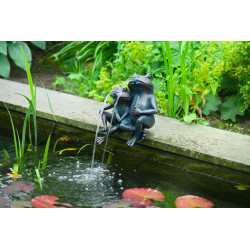 Gargouille Couple de Grenouille 22cm jets d'eau