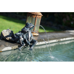 Gargouille Couple de Grenouille 22cm jets d'eau
