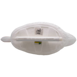 Canard flottant blanc