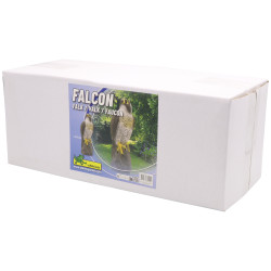 Faucon posé sur un rocher