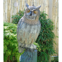 Le Grand Hibou  40 cm