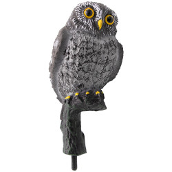 La Petite Chouette 24 cm