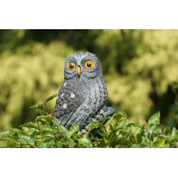 La Petite Chouette 24 cm