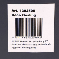 Oisons ou Poussin d'oie debout