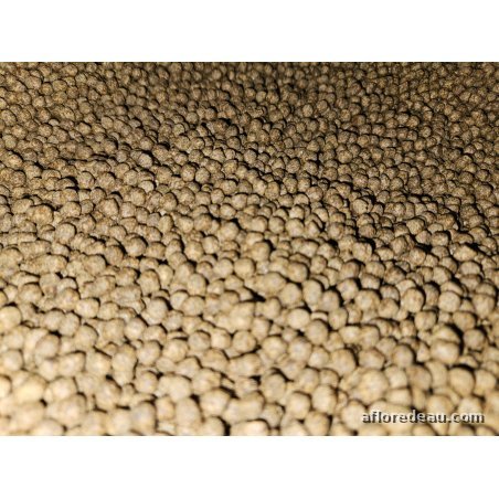 Koï Boost 5mm en Sac 10kg