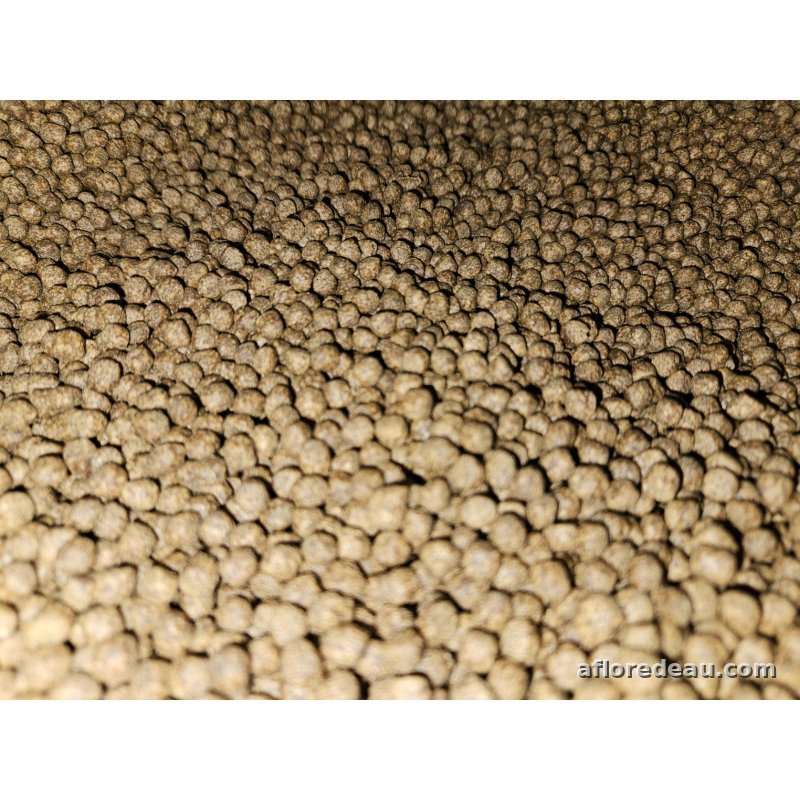 Koï Boost 5mm en Sac 15kg
