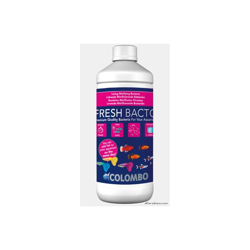 Colombo Fresh Bacto 1000 ML