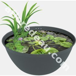 Medaka Bowl 600 — mini bassin japonais 36 L pour medakas