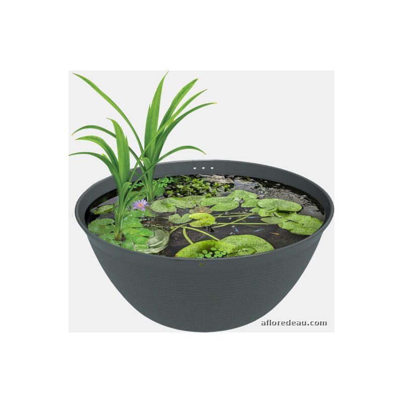 Medaka Bowl 600 — mini bassin japonais 36 L pour medakas