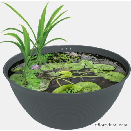 Medaka Bowl 600 — mini bassin japonais 36 L pour medakas