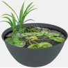 Medaka Bowl 600 — mini bassin japonais 36 L pour medakas