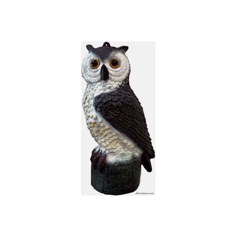 SF Deco Bird Petit Hibou - SuperFish