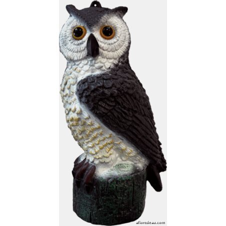 SF Deco Bird Petit Hibou - SuperFish