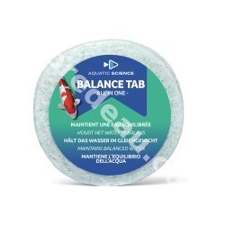 Balance Tab