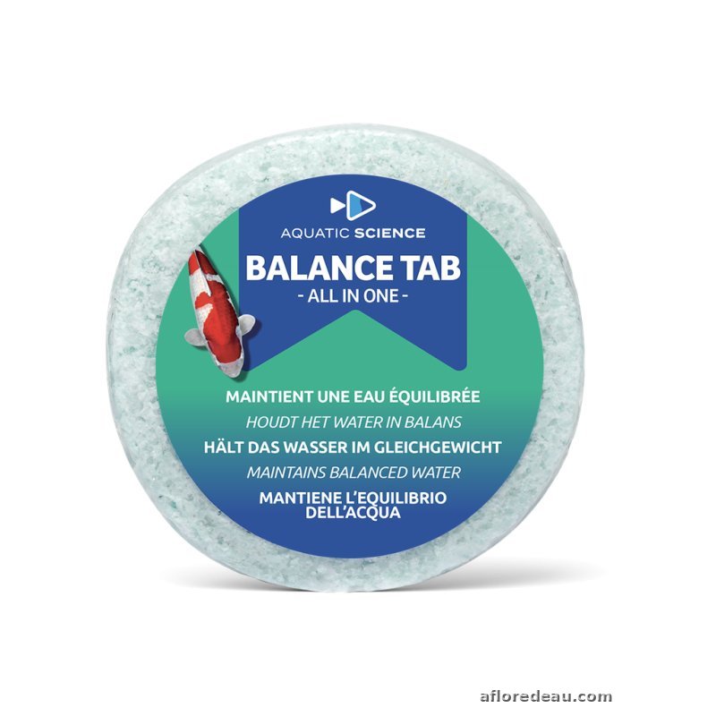 Balance Tab