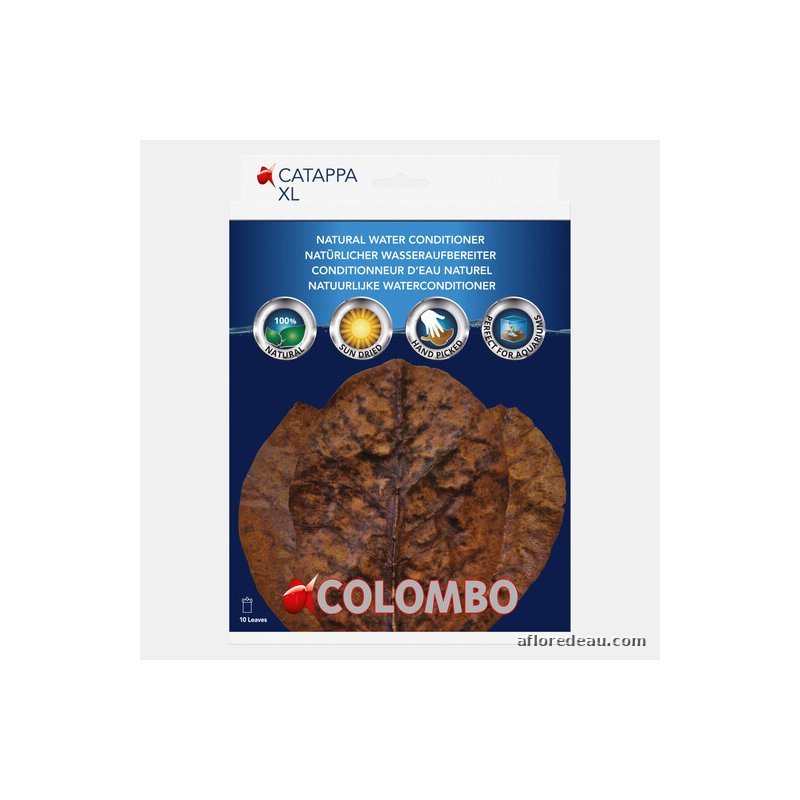 Colombo Catappa 10X