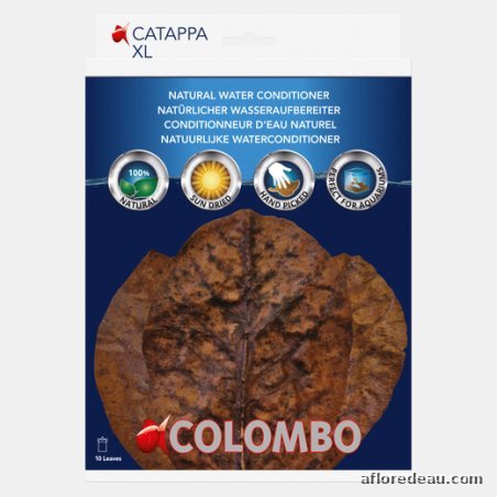 Colombo Catappa 10X