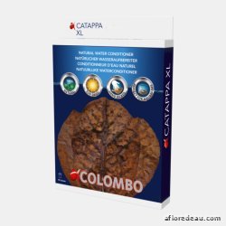 Colombo Catappa 10X