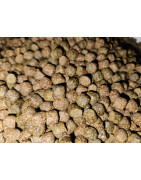 Aliments pour Koi et poissons de bassin | A Flore d Eau