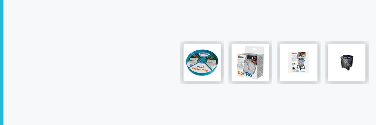 Distributeur de nourriture pour poissons de bassin