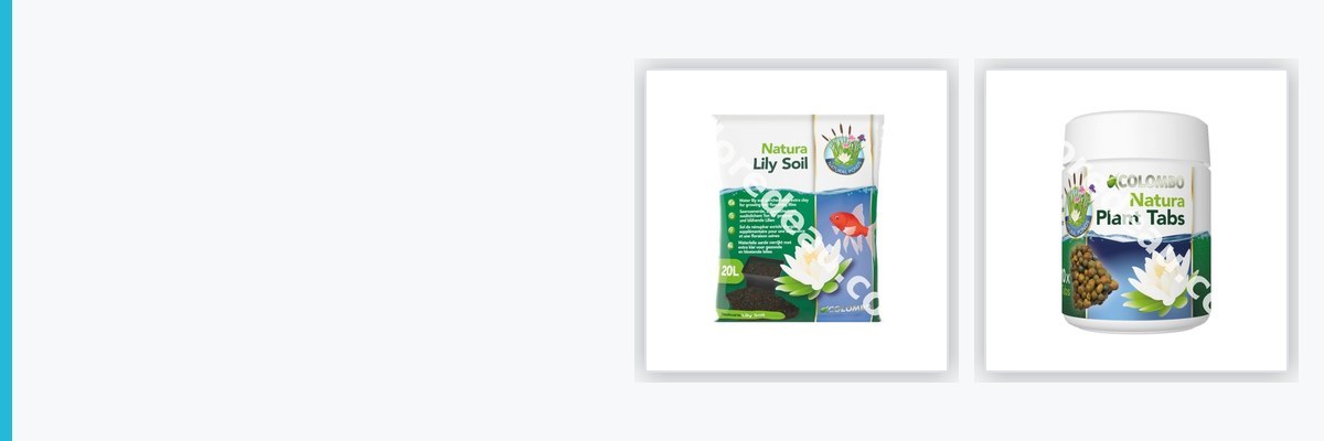 Nourritures pour plantes