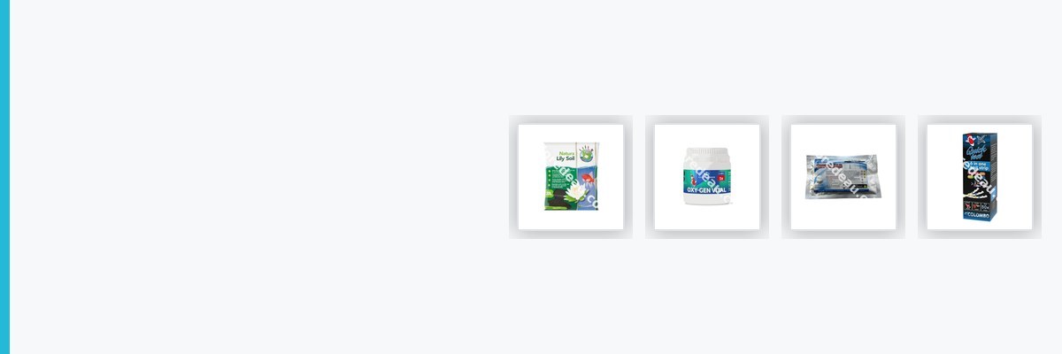 Traitements, engrais et tests pour Bassin