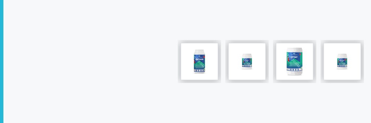 Bactéries pour filtration
