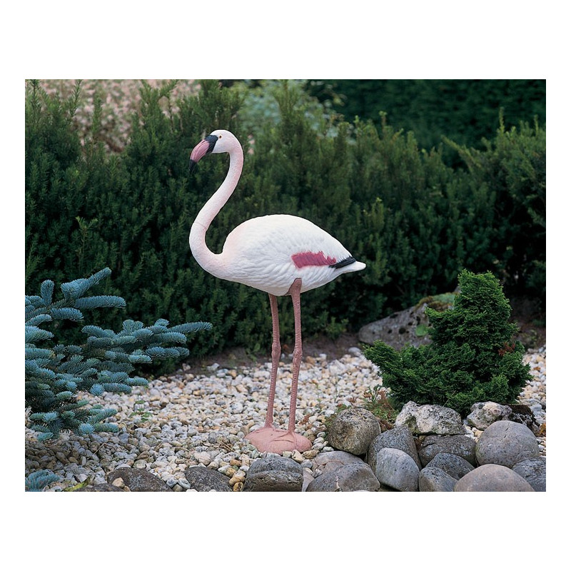Flamant rose debout