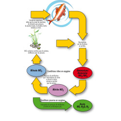 Filtre BioPure 2000 Basic -Rectangulaire