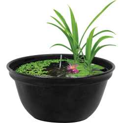 Le bol japonais Medaka 420 est conçu pour conserver facilement les méd