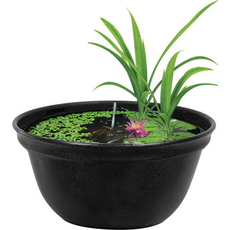 Le bol japonais Medaka 420 est conçu pour conserver facilement les méd