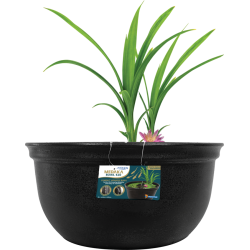 Le bol japonais Medaka 420 est conçu pour conserver facilement les méd