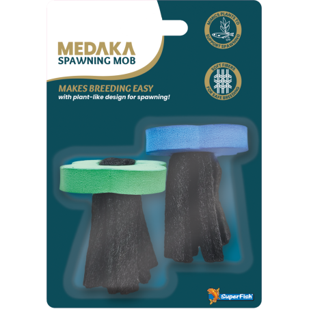 Medaka spawningmob
